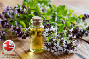 Aromatherapy Essential Oils